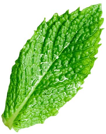 herbal remedy 35 - Private Label